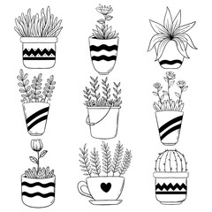 Set of hand drawing catus with pot. Sketch of flower in pot