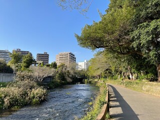 公園の様子