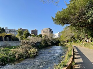 公園の様子