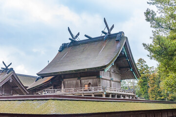 Honden main hall, National Treasure, of the Izumo Taisha grand shrine in Izumo City, Shimane Prefecture, Japan