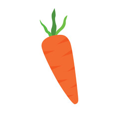 Carrot Fresh Vector Illustration