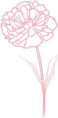 Carnation Flower Line lcon