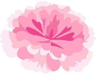 Carnation flat icon