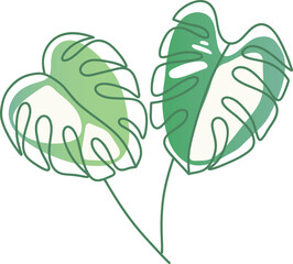  Monstera Albo, Leaf House Plant Illustration Art