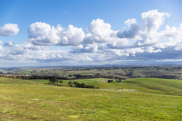 Obraz premium field and blue sky
