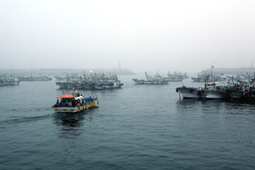 boats in the harbor
