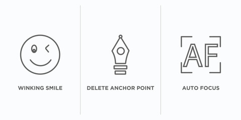 user interface outline icons set. thin line icons such as winking smile, delete anchor point, auto focus vector. linear icon sheet can be used web and mobile