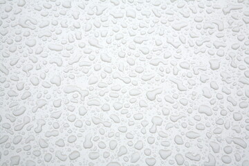 raindrops on the bonnet