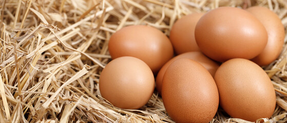 Fresh eggs are ready for breakfast in the farm.