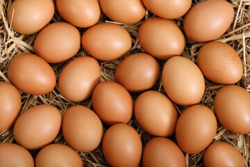 background fresh chicken eggs ready for breakfast on the farm