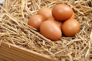 Fresh eggs are ready for breakfast in the farm.