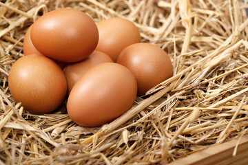 Fresh eggs are ready for breakfast in the farm.