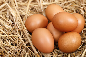 Fresh eggs are ready for breakfast in the farm.