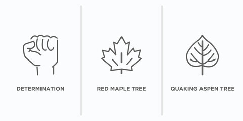 nature outline icons set. thin line icons such as determination, red maple tree, quaking aspen tree vector. linear icon sheet can be used web and mobile