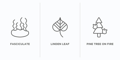 nature outline icons set. thin line icons such as fasciculate, linden leaf, pine tree on fire vector. linear icon sheet can be used web and mobile