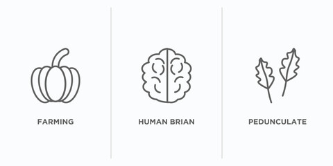nature outline icons set. thin line icons such as farming, human brian, pedunculate vector. linear icon sheet can be used web and mobile