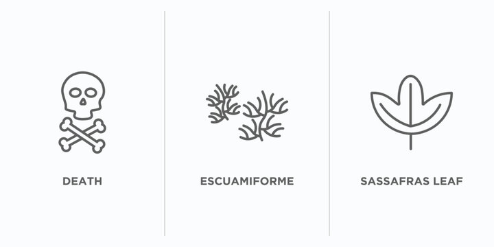 nature outline icons set. thin line icons such as death, escuamiforme, sassafras leaf vector. linear icon sheet can be used web and mobile