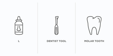 medical outline icons set. thin line icons such as l, dentist tool, molar tooth vector. linear icon sheet can be used web and mobile