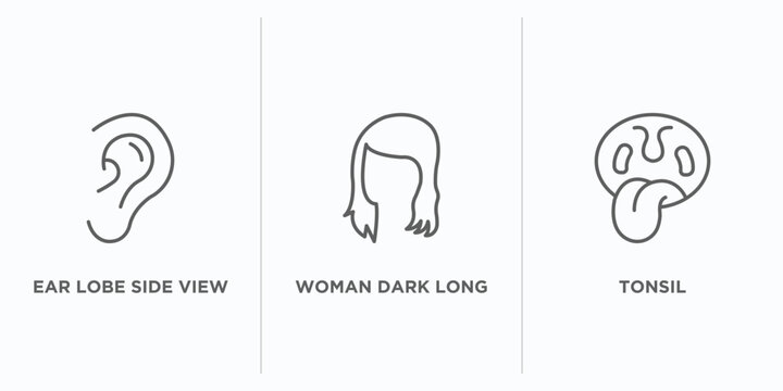 human body parts outline icons set. thin line icons such as ear lobe side view, woman dark long hair, tonsil vector. linear icon sheet can be used web and mobile