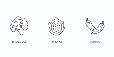 fruits and vegetables outline icons set. thin line icons such as broccoli, pitaya, pepper vector. linear icon sheet can be used web and mobile