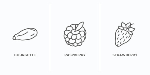 fruits and vegetables outline icons set. thin line icons such as courgette, raspberry, strawberry vector. linear icon sheet can be used web and mobile
