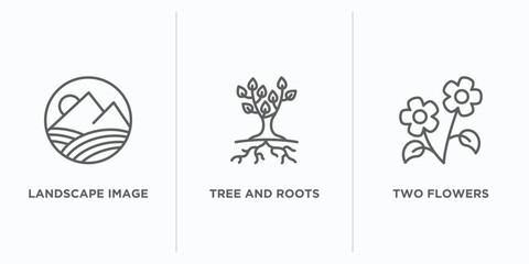 ecology outline icons set. thin line icons such as landscape image, tree and roots, two flowers vector. linear icon sheet can be used web and mobile