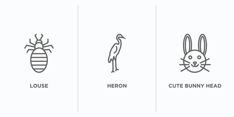animals outline icons set. thin line icons such as louse, heron, cute bunny head vector. linear icon sheet can be used web and mobile