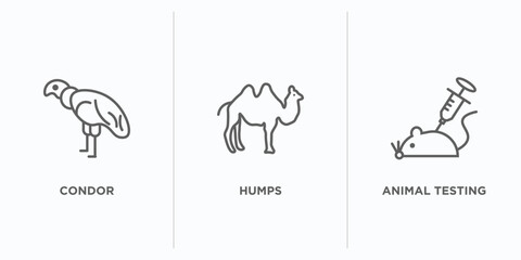 animals outline icons set. thin line icons such as condor, humps, animal testing vector. linear icon sheet can be used web and mobile