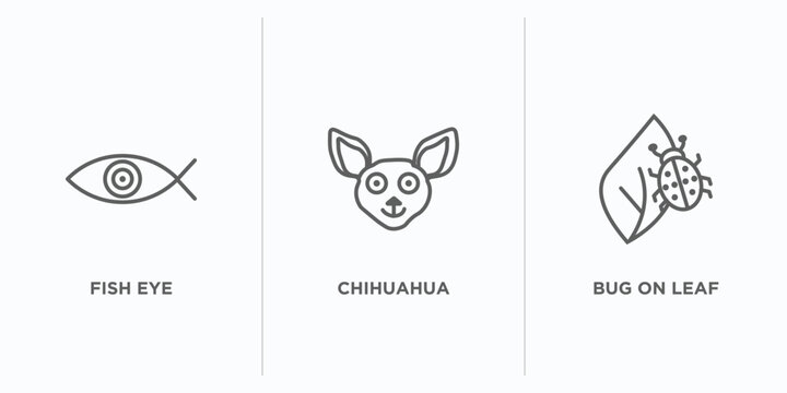 animals outline icons set. thin line icons such as fish eye, chihuahua, bug on leaf vector. linear icon sheet can be used web and mobile