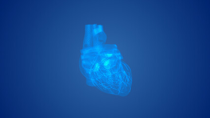 Human heart with a cardiogram line