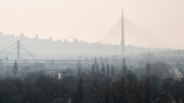 View of Ada Bridge and panorama of Belgrade in the misty morning. The Ada Bridge is a cable-stayed bridge over the Sava river in Belgrade, Serbia