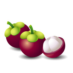 mangosteen 