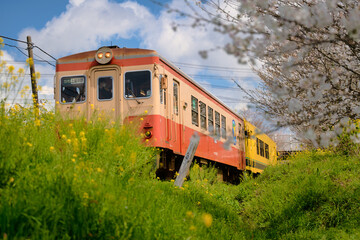 Obraz premium 里山をかける列車