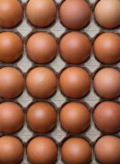 Fresh chicken eggs in a paper tray