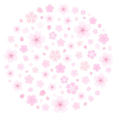 Beautiful pink cherry blossoms gathered in a circle