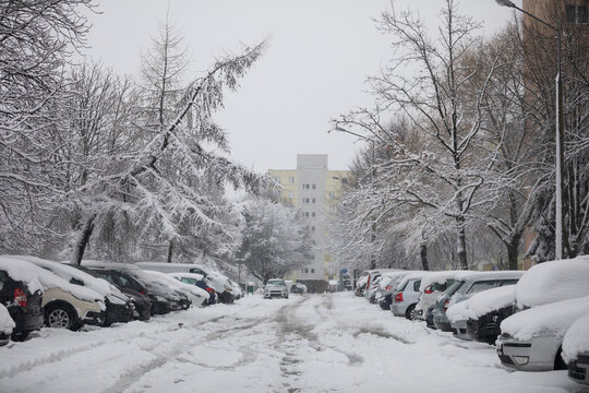 Estate parking lot with a lot of parked cars