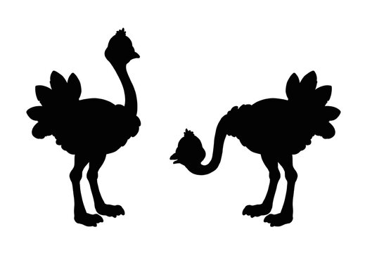 Black silhouette of funny ostrich. Template with funny birds. Colouring page for kids.