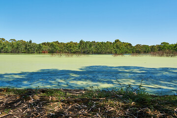 Wildlife Wetlands Sanctuary is located in the open grassy woodlands and wetlands of the volcanic Western Plains in between Melbourne and Geelong, in Lara.