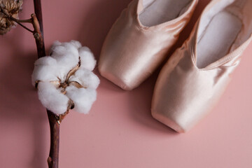 pink ballet slippers lying near cotton Branch with soft fluffy cotton flowers. flat lay raw material © Julia