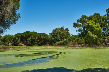 Wildlife Wetlands Sanctuary is located in the open grassy woodlands and wetlands of the volcanic Western Plains in between Melbourne and Geelong, in Lara.