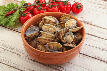 Vongole shellfish mollusc clem with butter