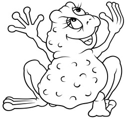 Drawing of a Frog from the Back View - Cartoon Illustration Isolated on White Background, Vector