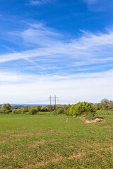 New sown field in a rural sunny landscape
