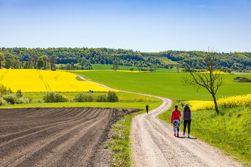Fototapeta premium Women walking on a winding road in a rural landscape view