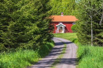 Fototapeta na wymiar Forest road to a red cottage