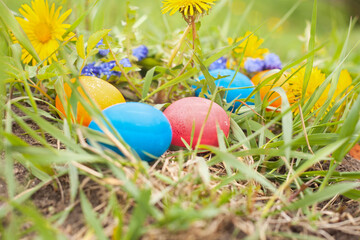 colorful Easter eggs lie in the grass