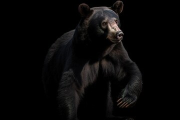 A fierce and intimidating Black Bear standing on its hind legs - This Black Bear is standing on its hind legs, showing off its fierce and intimidating nature. Generative AI