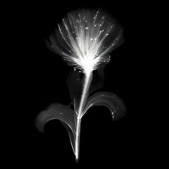 Color glass flower isolated on black, Hibiscus 03