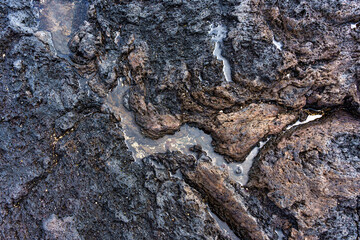 Ocean Tide Pools on Lava Rock