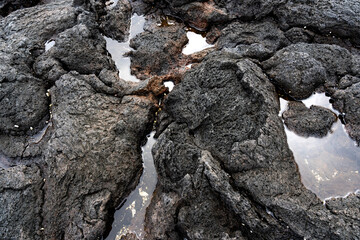 Textured Lava Rock and Ocean Tide Pools
